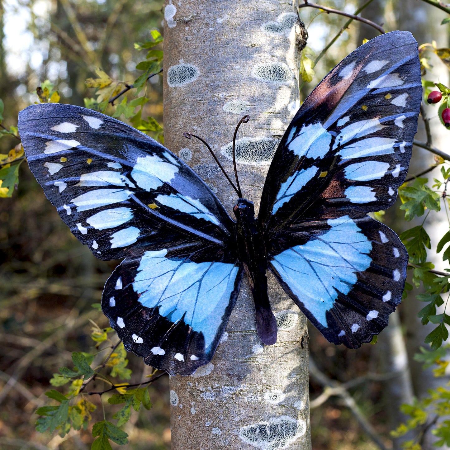 Garden Butterfly Wall Ornaments Bright Coloured Metal Butterflies 5 Colours Available (Black & Light Blue)