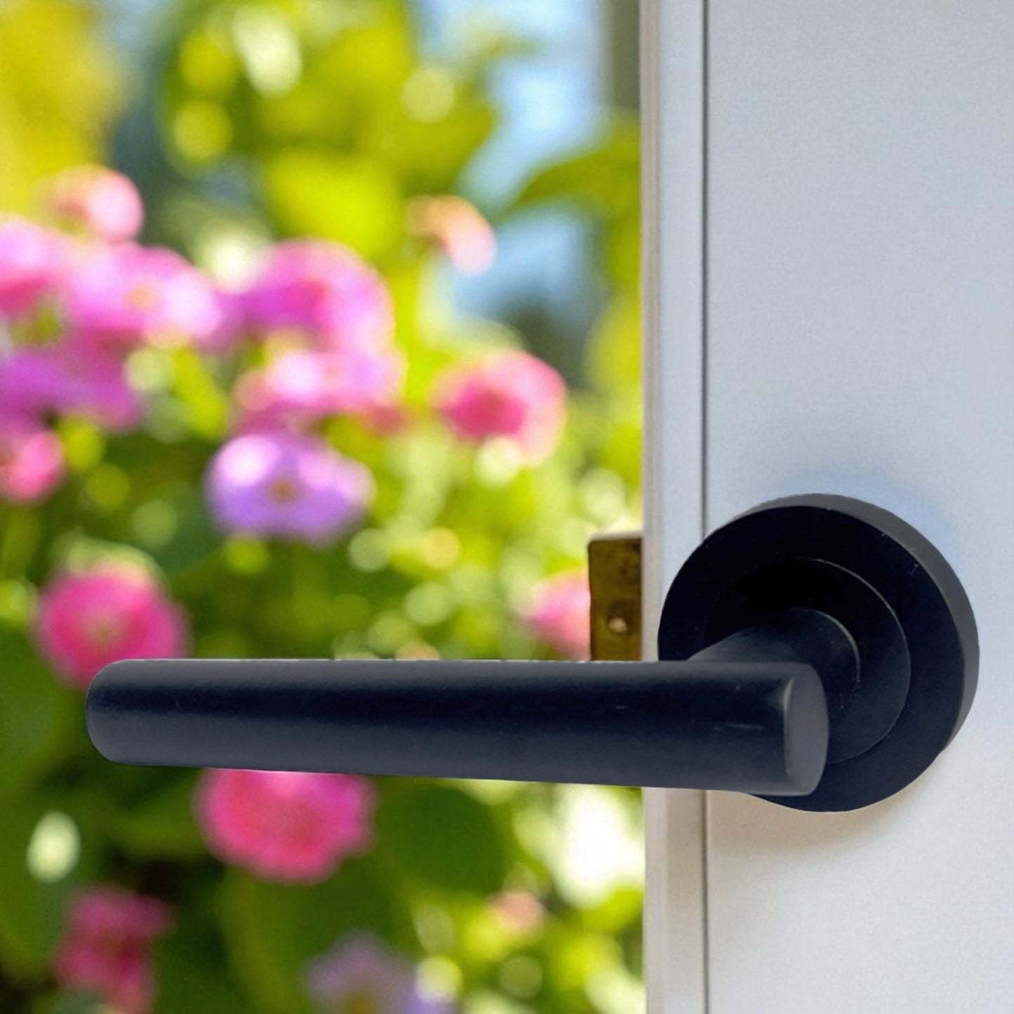 DOOR HANDLES Stylish MATT BLACK T BAR on Round Rose STRAIGHT HANDLE 1 - 10 sets