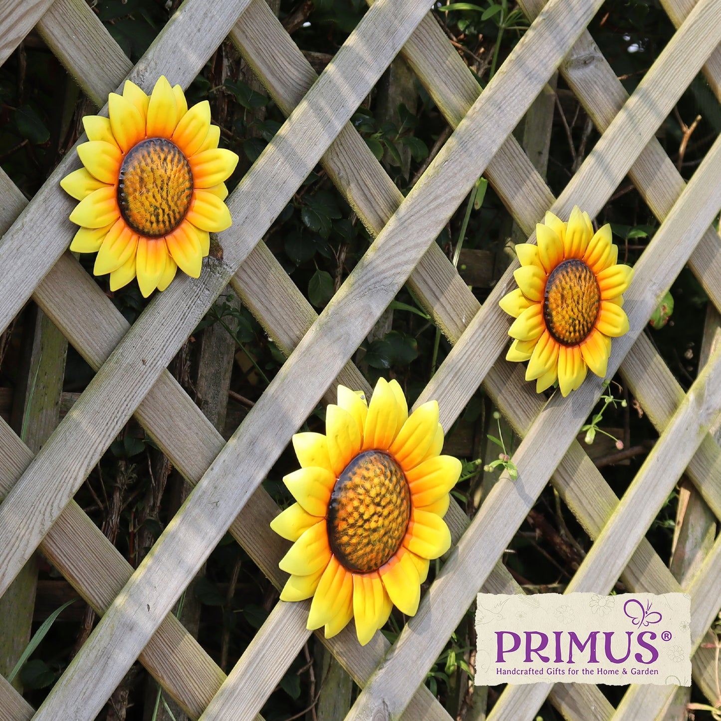 Set of 3 Metal Wall Mounted Sunflowers