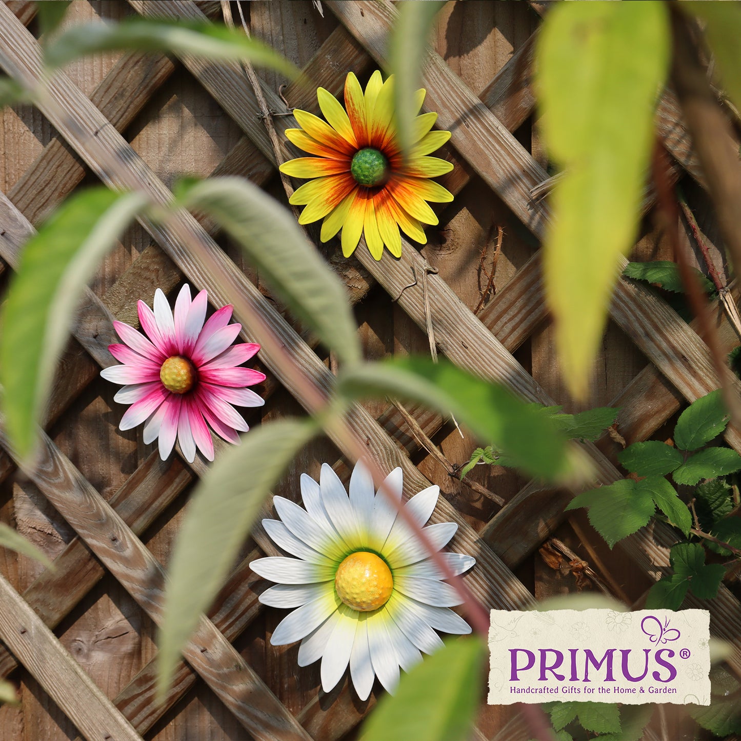 Set of 3 Metal Wall Mounted Daisies