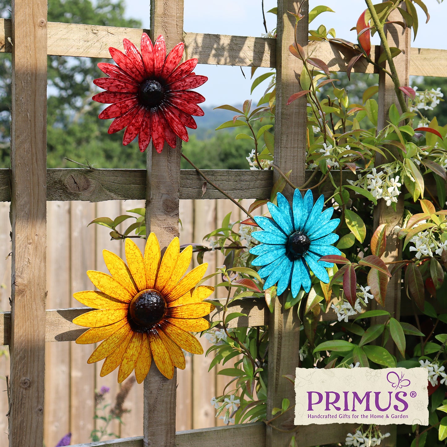 Set of 3 Metal Wall Mounted Glossy Daisies