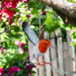 Small Metal Hanging Robin (14cm x 10cm x 10cm) – Handcrafted Weather-Resistant Bird Ornament – Decorative Hanging Robin Sculpture for Garden