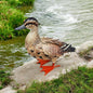 Metal Farmyard Female Duck – Handcrafted Rustic Duck Garden Ornament – Weather-Resistant Metal Duck Statue