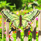 Medium Metal Green Butterfly Wall Art – 23 x 37 x 1 CM | Hand-Painted 3D Butterfly Decoration | Weatherproof Metal Wall Décor for Garden