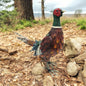 Metal Ring-Necked Pheasant – 50 x 15 x 40 CM | Handcrafted Metal Bird Garden Ornament