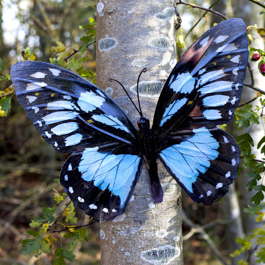 Garden Butterfly Wall Ornaments Bright Coloured Metal Butterflies 5 Colours Available (Black & Light Blue)