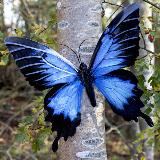 Garden Butterfly Wall Ornaments Bright Coloured Metal Butterflies 5 Colours Available (Black & Blue)