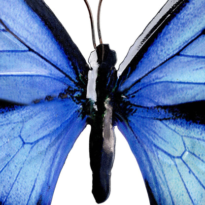 Garden Butterfly Wall Ornaments Bright Coloured Metal Butterflies 5 Colours Available (Black & Blue)