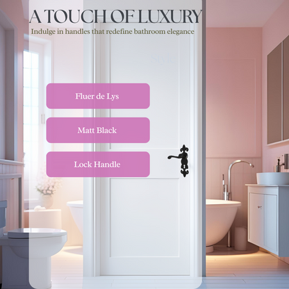 Black Cast Iron Fleur-de-Lys Lever Lock Door Handles  Ornate Antique Internal