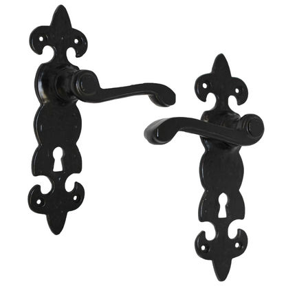 Black Cast Iron Fleur-de-Lys Lever Lock Door Handles  Ornate Antique Internal