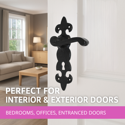 Black Cast Iron Fleur-de-Lys Lever Lock Door Handles  Ornate Antique Internal