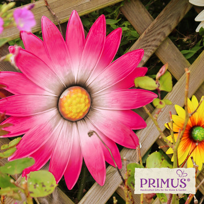 Large Metal Wall Mounted Daisy Pink