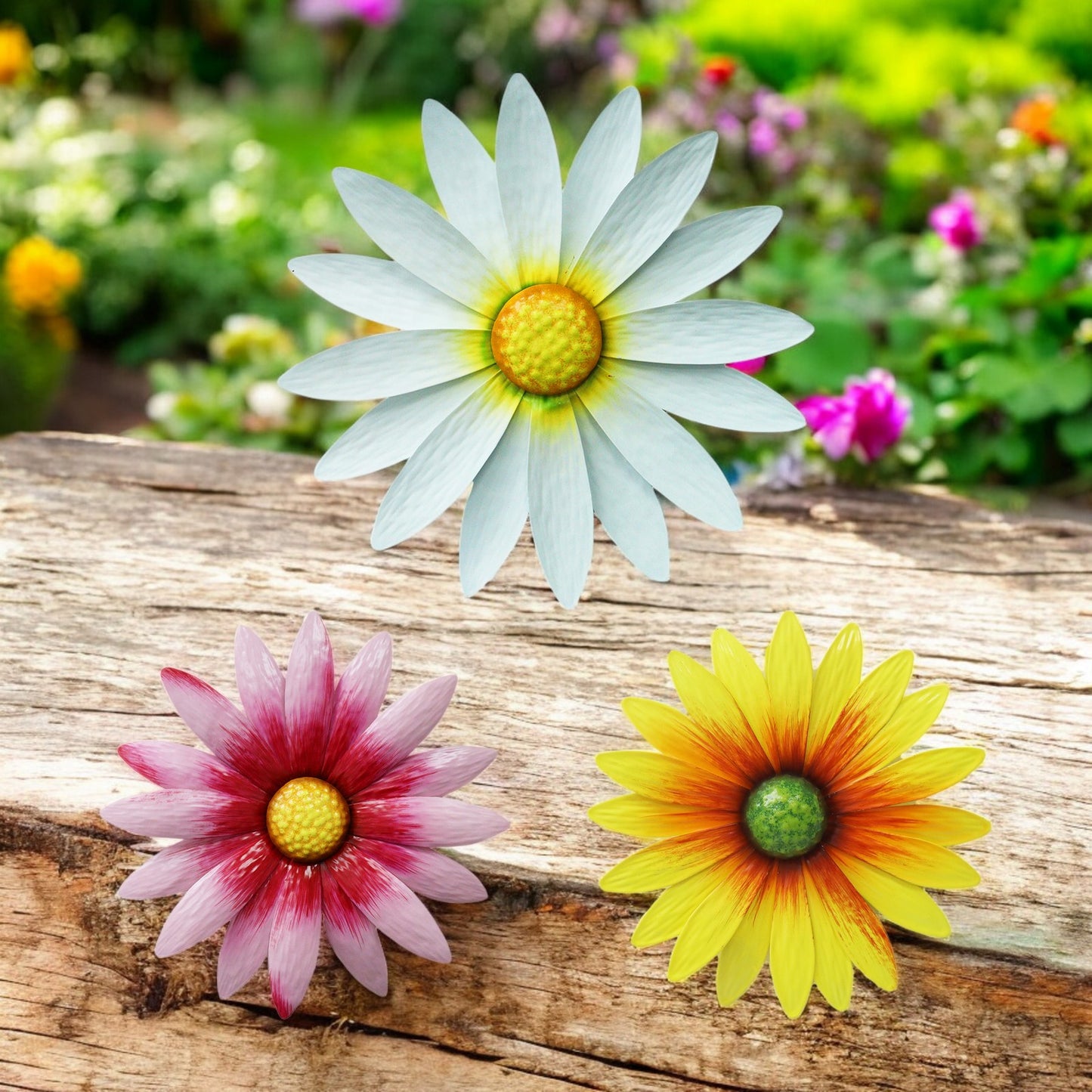 Set of 3 Metal Wall Mounted Daisies